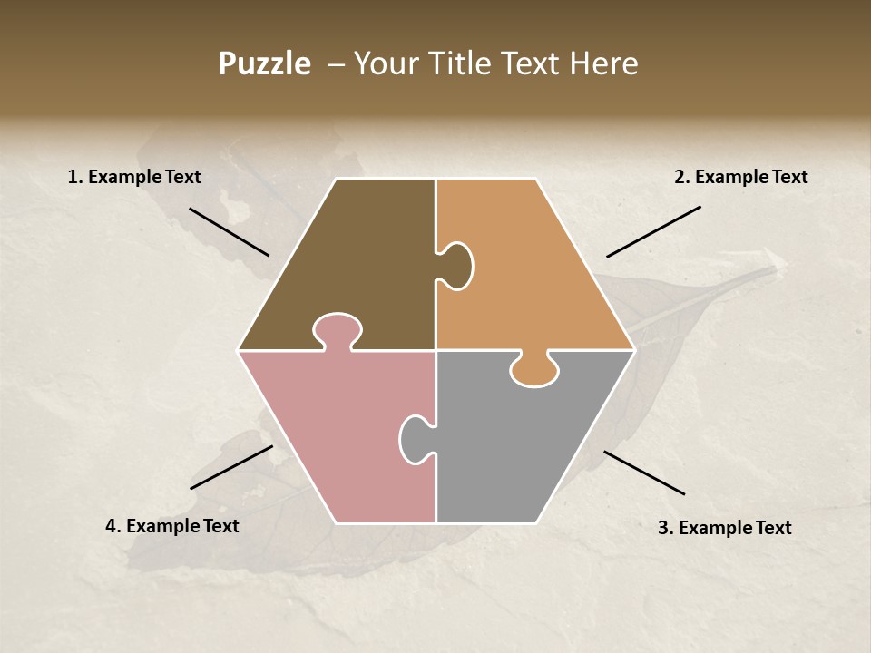 Fossilized Texture Macro PowerPoint Template