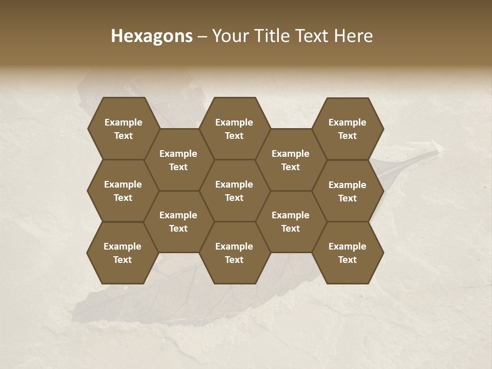 Fossilized Texture Macro PowerPoint Template