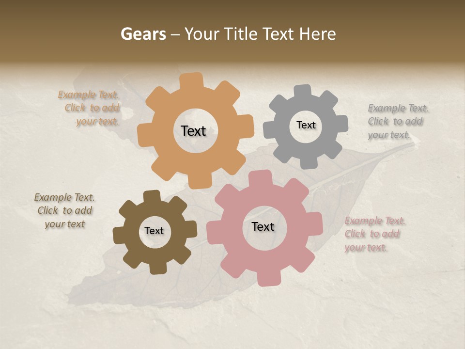 Fossilized Texture Macro PowerPoint Template