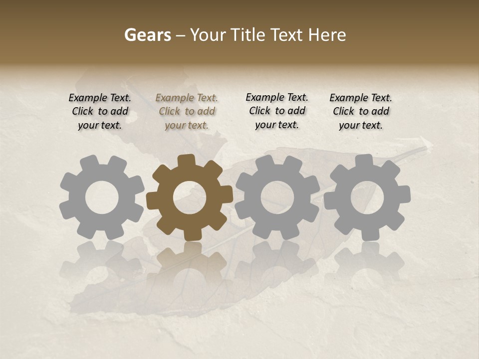 Fossilized Texture Macro PowerPoint Template