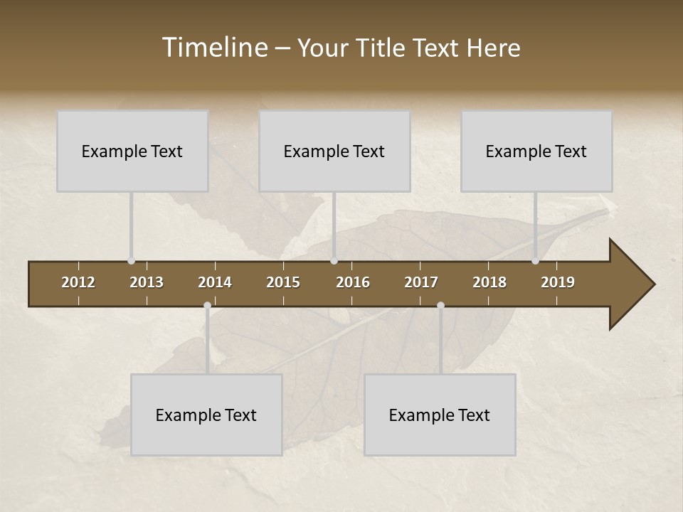 Fossilized Texture Macro PowerPoint Template