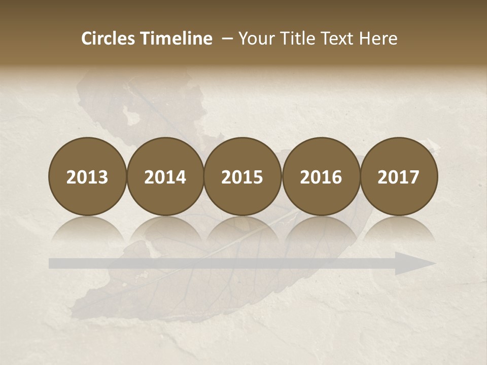 Fossilized Texture Macro PowerPoint Template