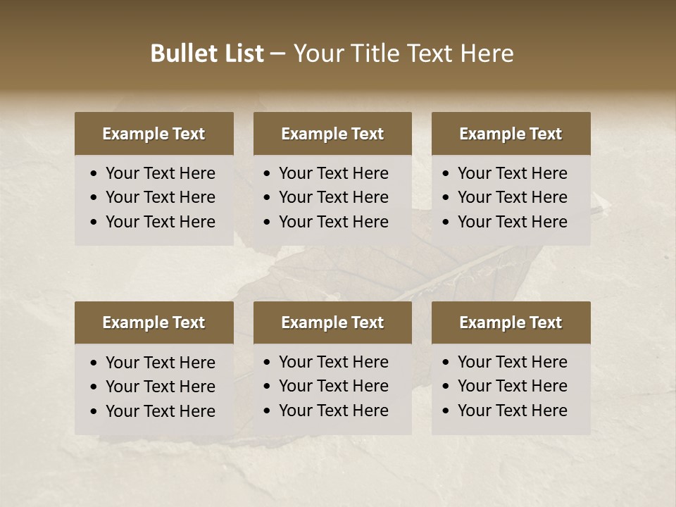 Fossilized Texture Macro PowerPoint Template