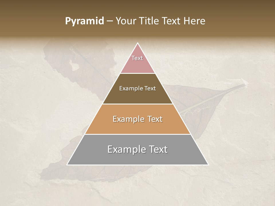 Fossilized Texture Macro PowerPoint Template