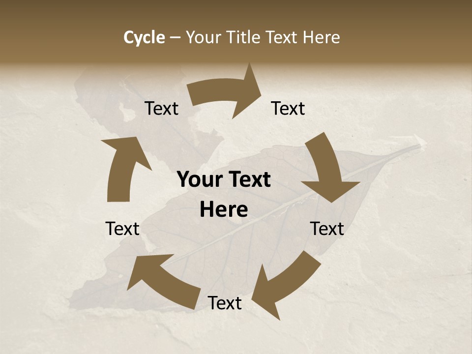 Fossilized Texture Macro PowerPoint Template