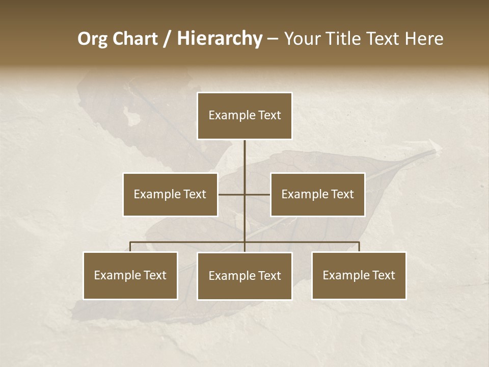 Fossilized Texture Macro PowerPoint Template