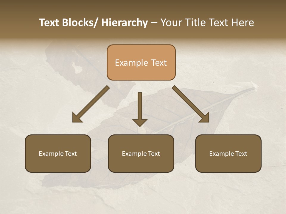 Fossilized Texture Macro PowerPoint Template