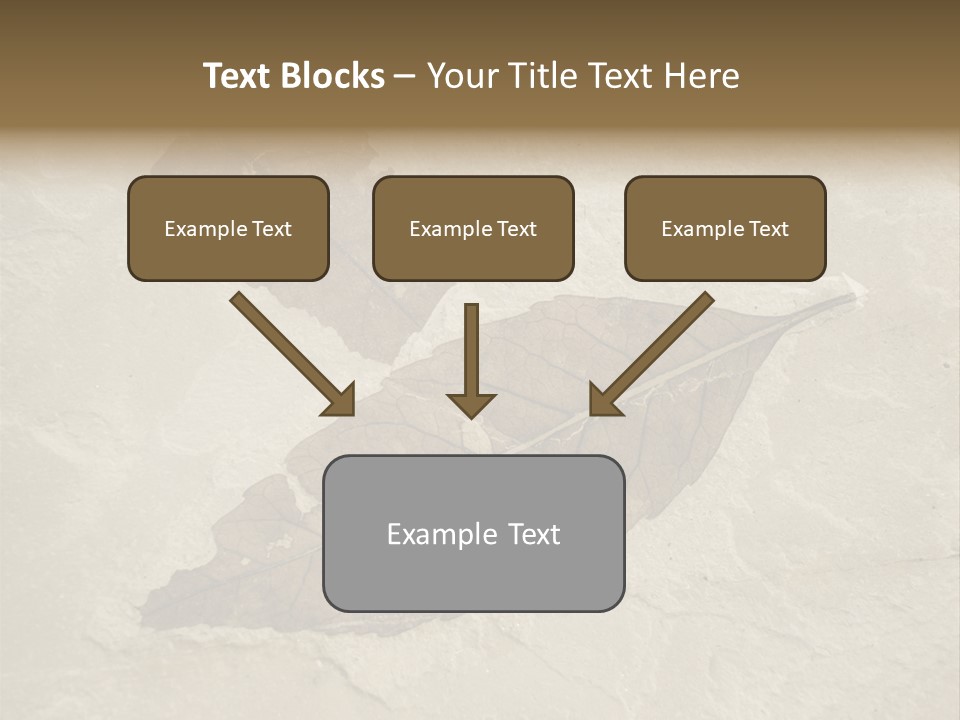 Fossilized Texture Macro PowerPoint Template