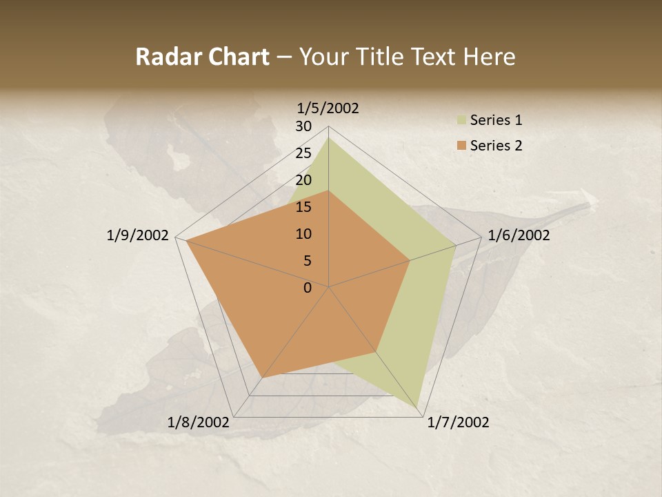 Fossilized Texture Macro PowerPoint Template