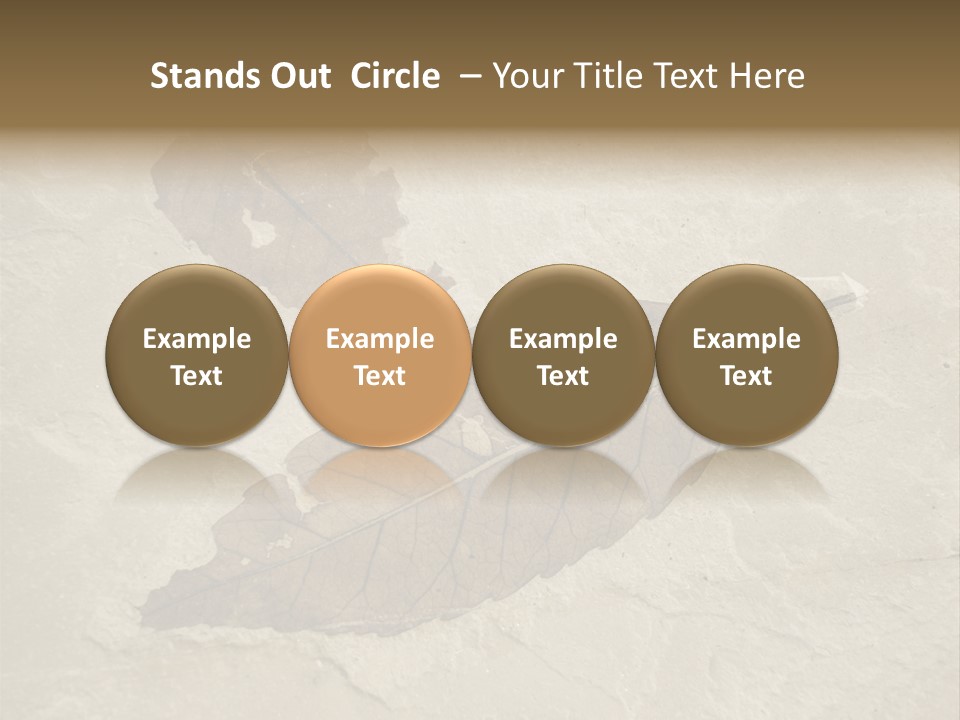 Fossilized Texture Macro PowerPoint Template