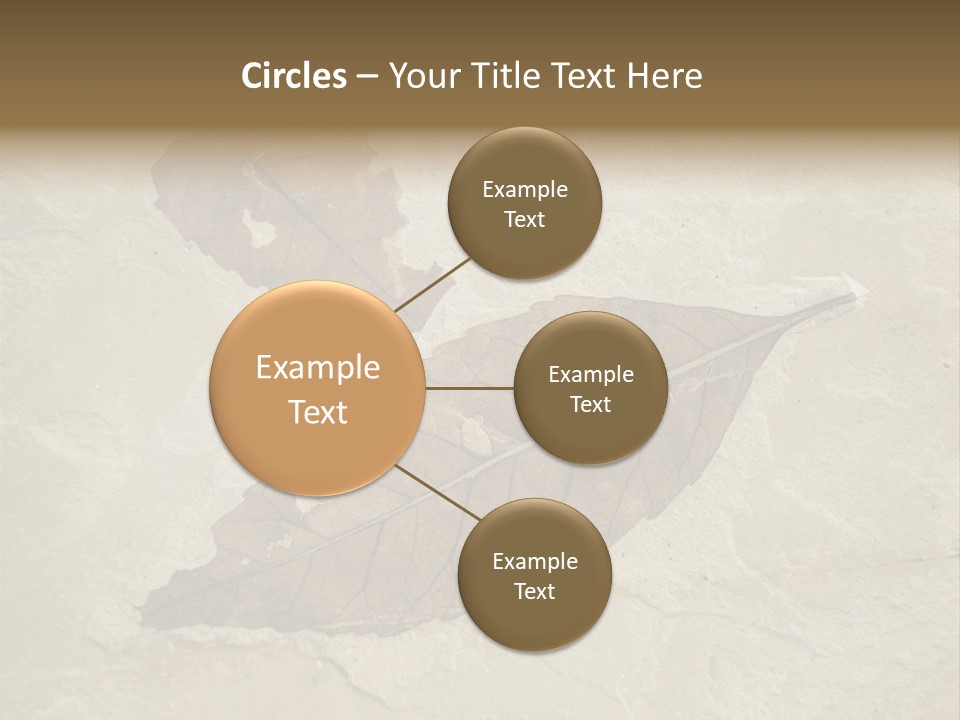 Fossilized Texture Macro PowerPoint Template