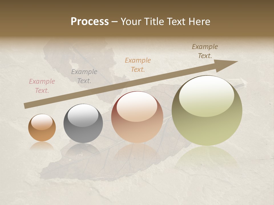 Fossilized Texture Macro PowerPoint Template