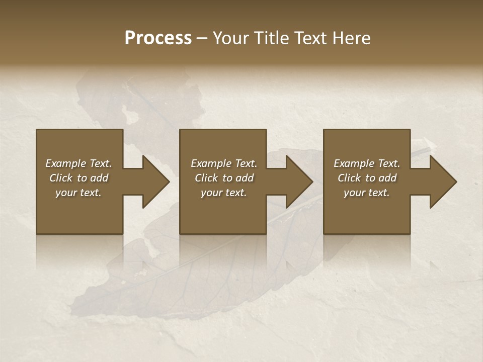 Fossilized Texture Macro PowerPoint Template