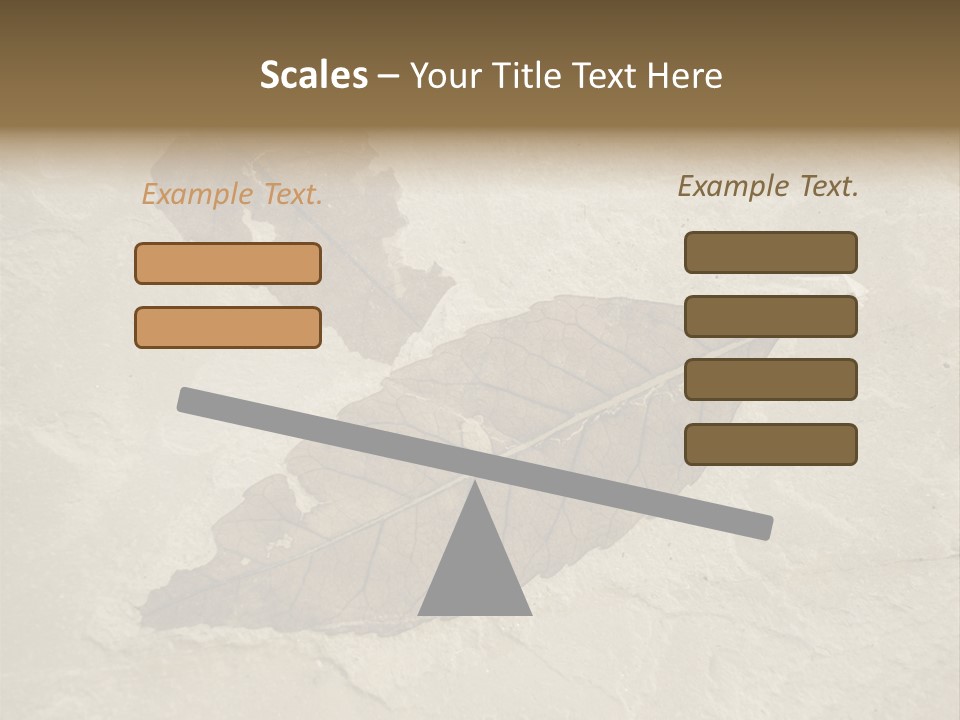 Fossilized Texture Macro PowerPoint Template