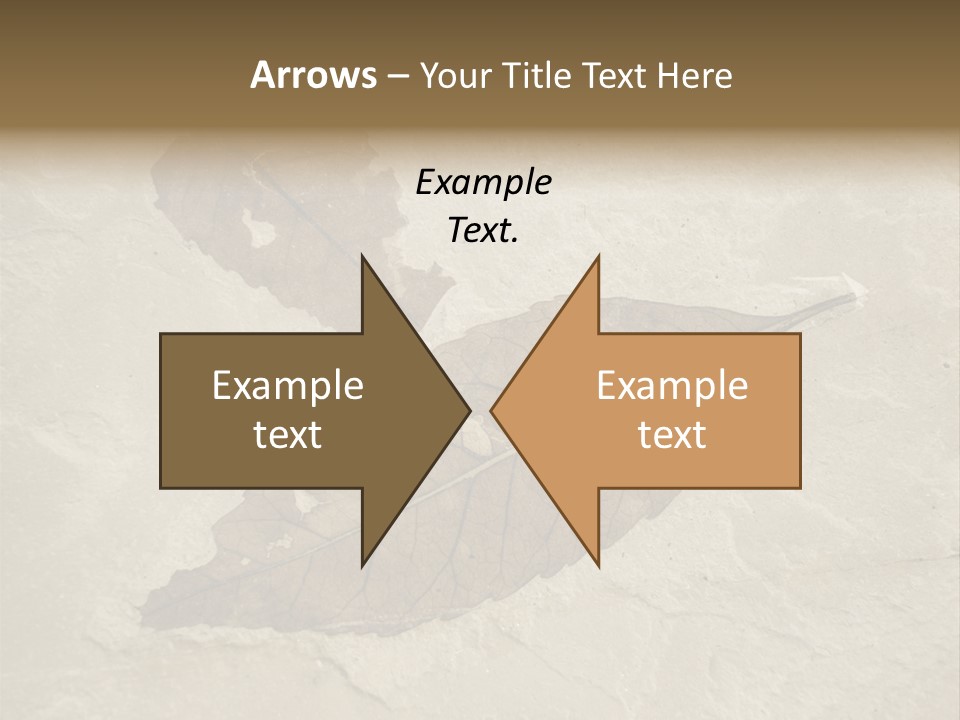 Fossilized Texture Macro PowerPoint Template