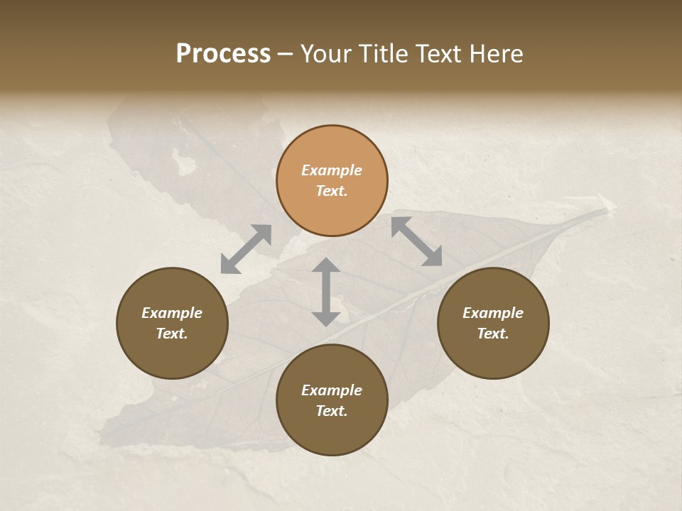 Fossilized Texture Macro PowerPoint Template