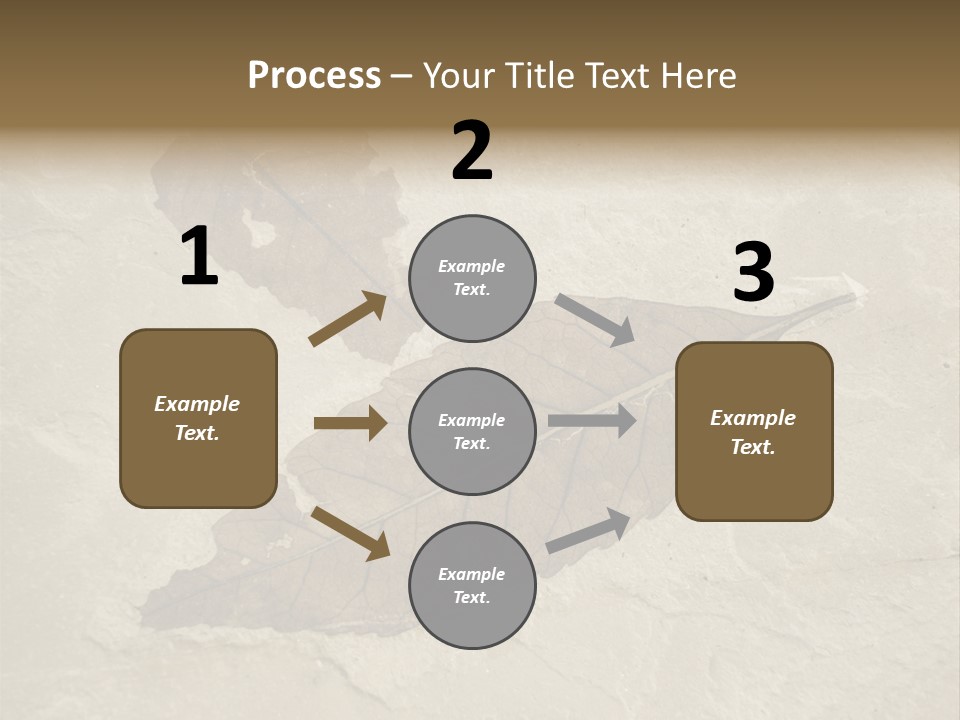 Fossilized Texture Macro PowerPoint Template