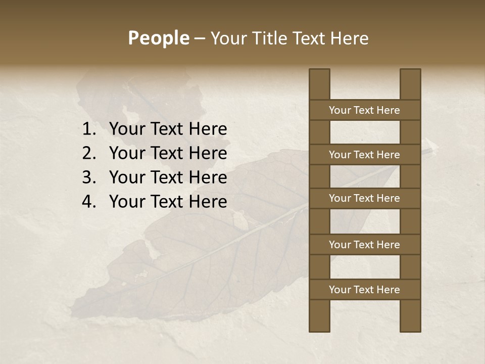 Fossilized Texture Macro PowerPoint Template