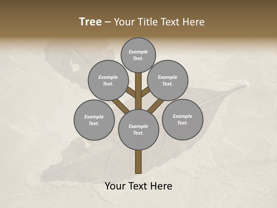 Fossilized Texture Macro PowerPoint Template