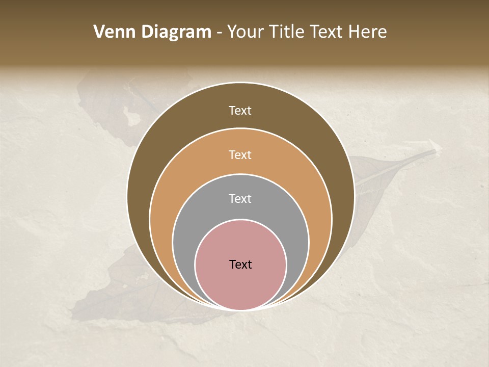 Fossilized Texture Macro PowerPoint Template