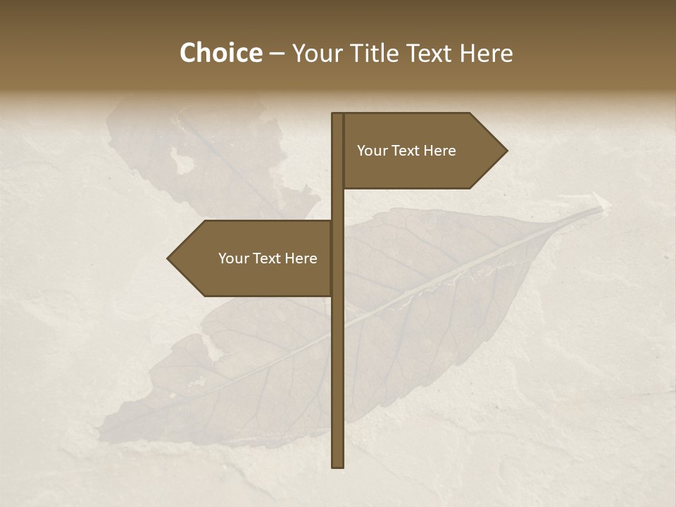 Fossilized Texture Macro PowerPoint Template