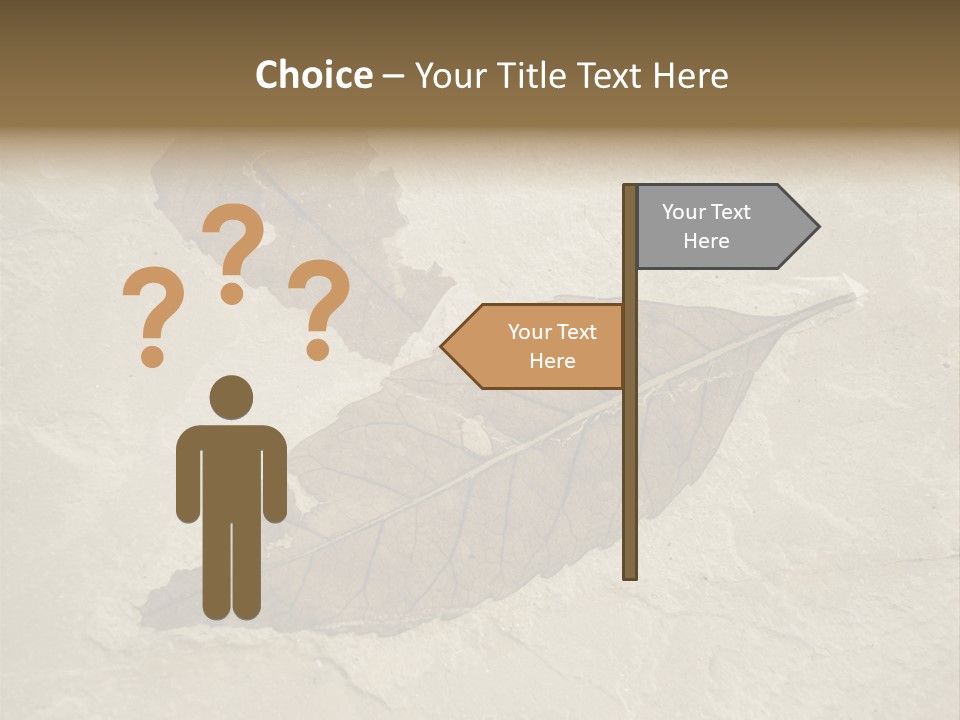 Fossilized Texture Macro PowerPoint Template