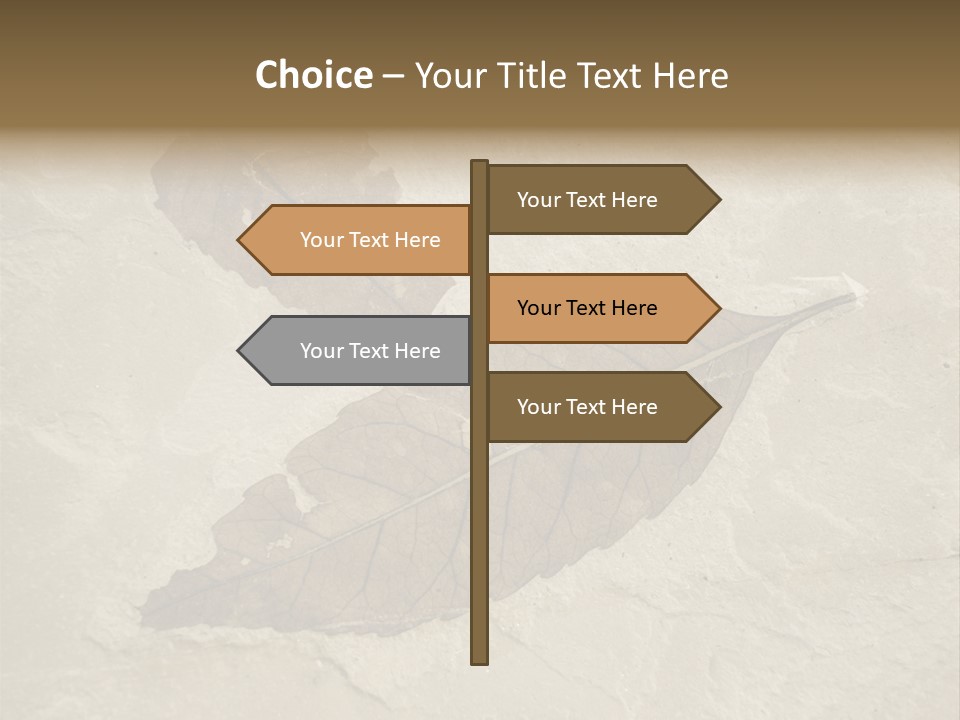 Fossilized Texture Macro PowerPoint Template