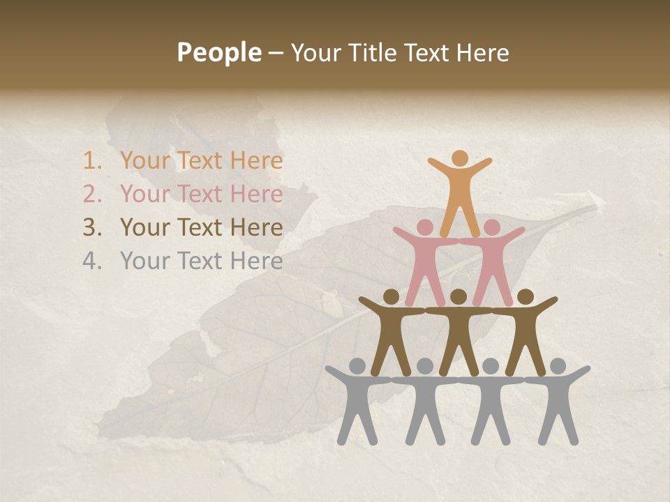 Fossilized Texture Macro PowerPoint Template