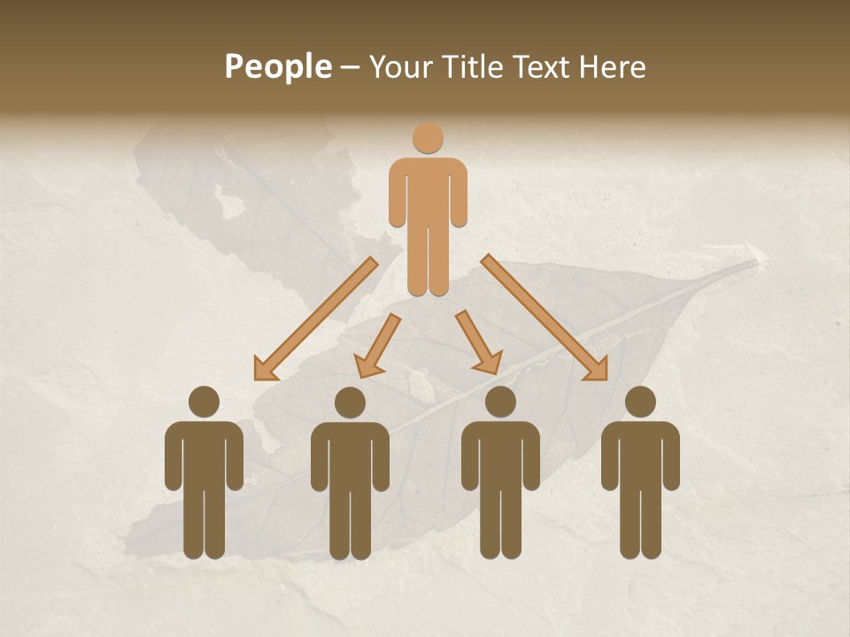 Fossilized Texture Macro PowerPoint Template