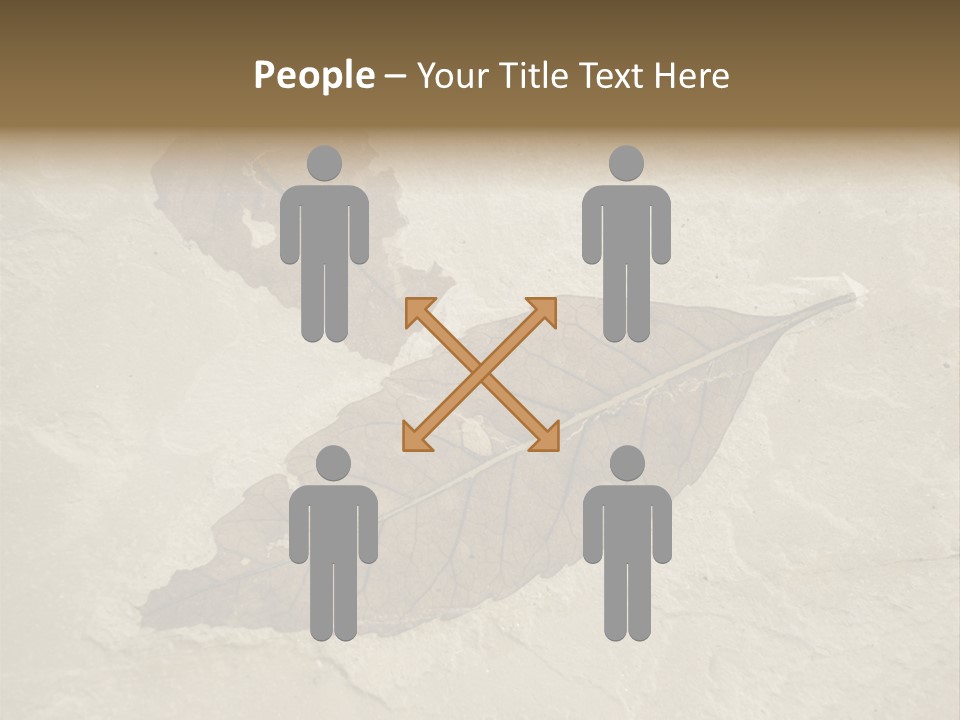 Fossilized Texture Macro PowerPoint Template