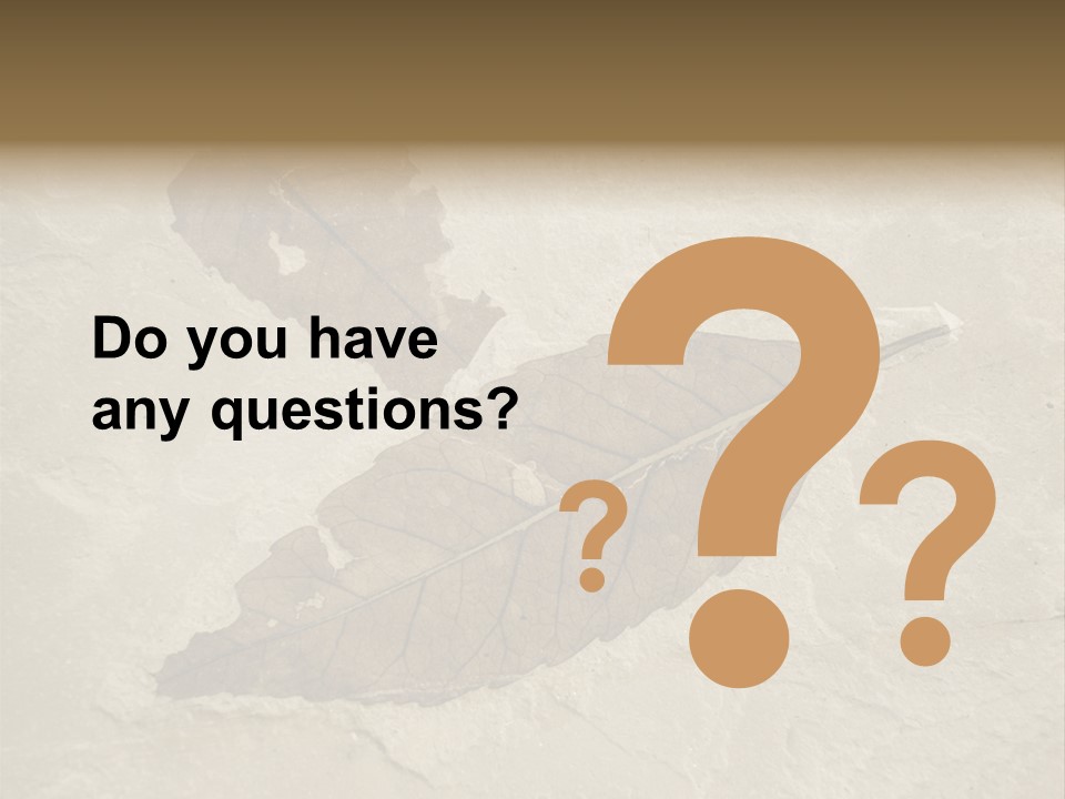 Fossilized Texture Macro PowerPoint Template