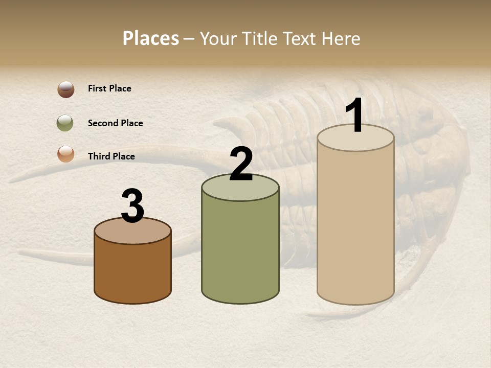 Geology Prehistoric Animal PowerPoint Template