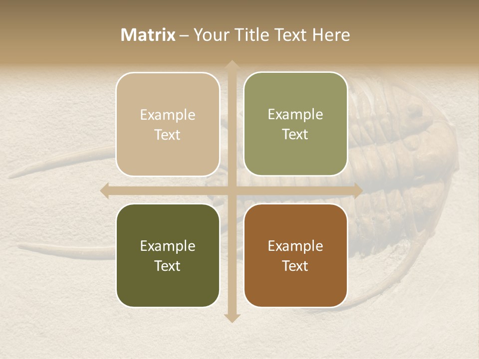 Geology Prehistoric Animal PowerPoint Template