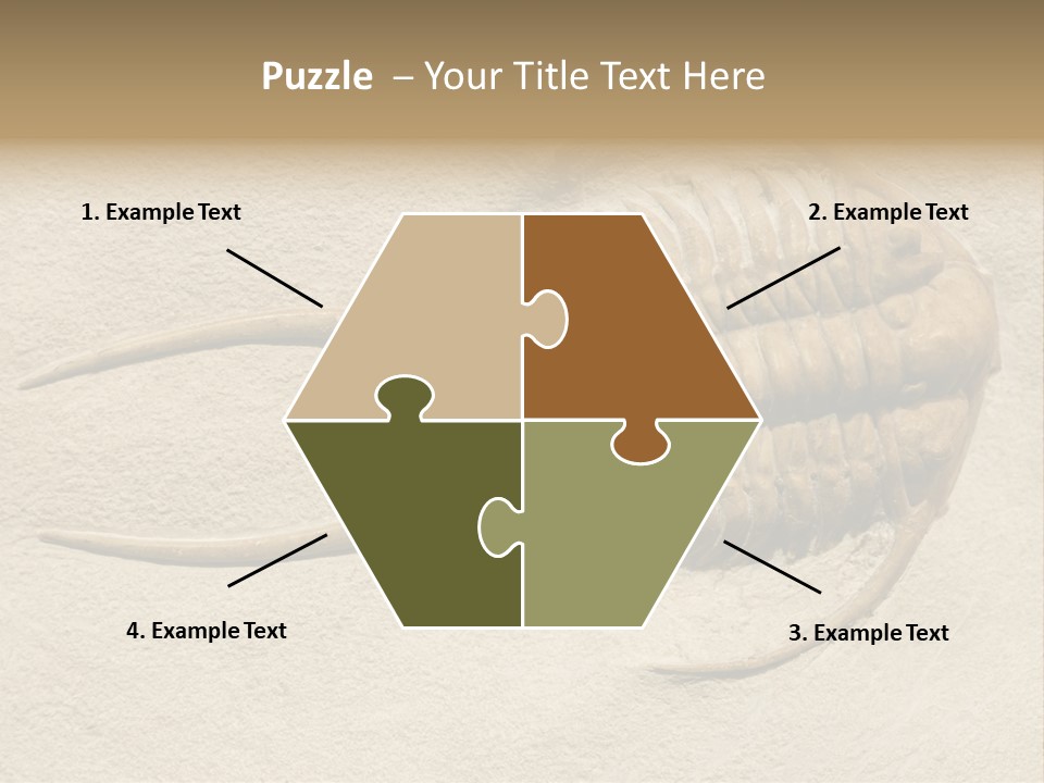 Geology Prehistoric Animal PowerPoint Template