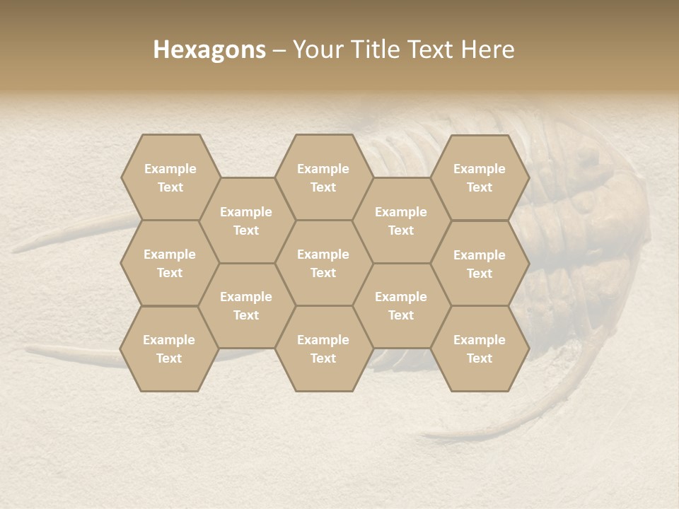 Geology Prehistoric Animal PowerPoint Template