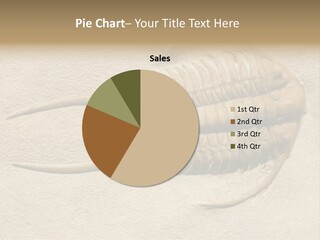 Geology Prehistoric Animal PowerPoint Template