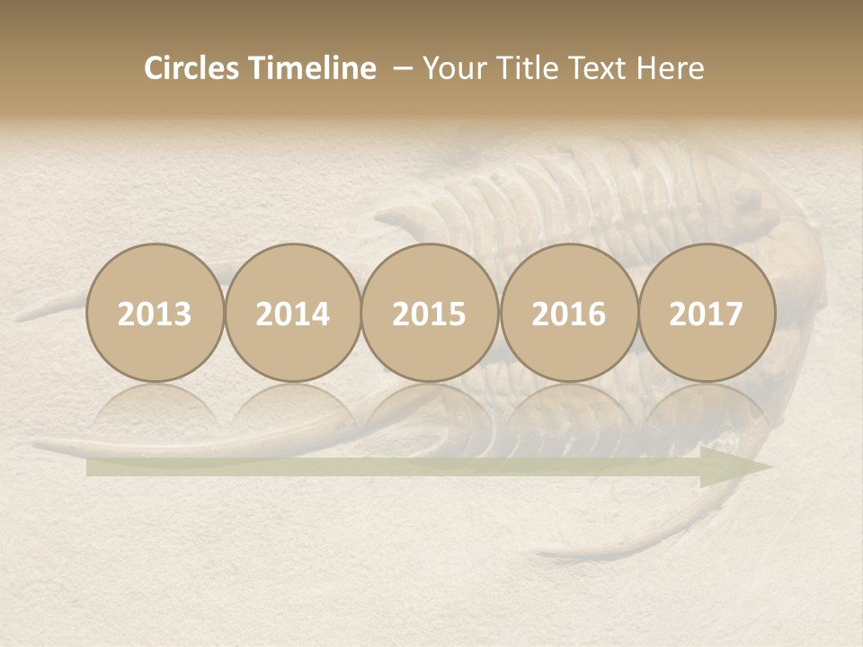 Geology Prehistoric Animal PowerPoint Template