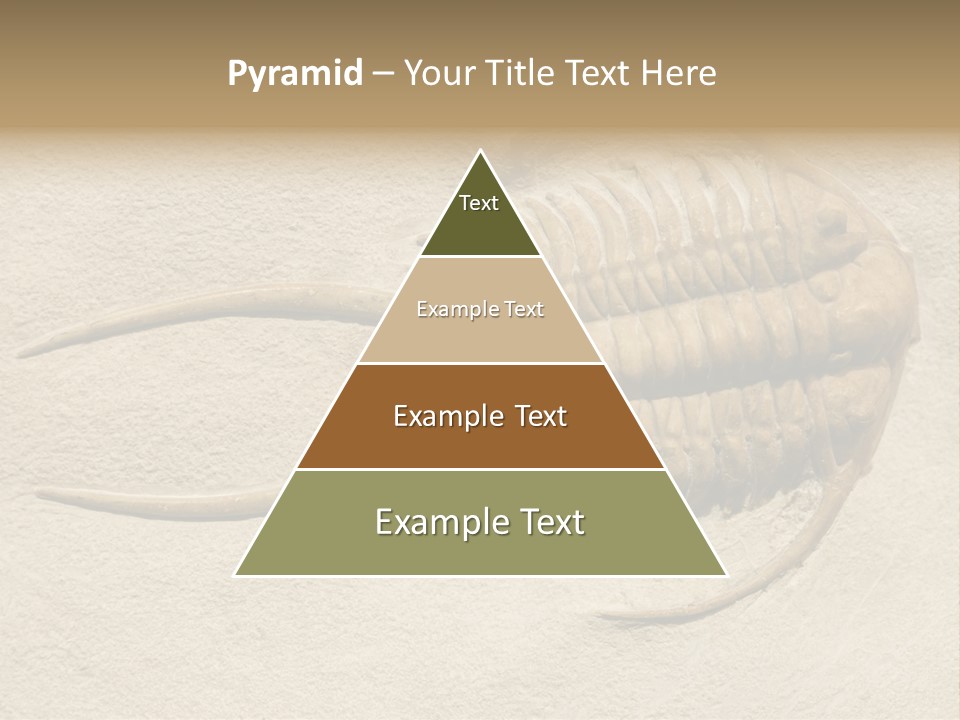 Geology Prehistoric Animal PowerPoint Template