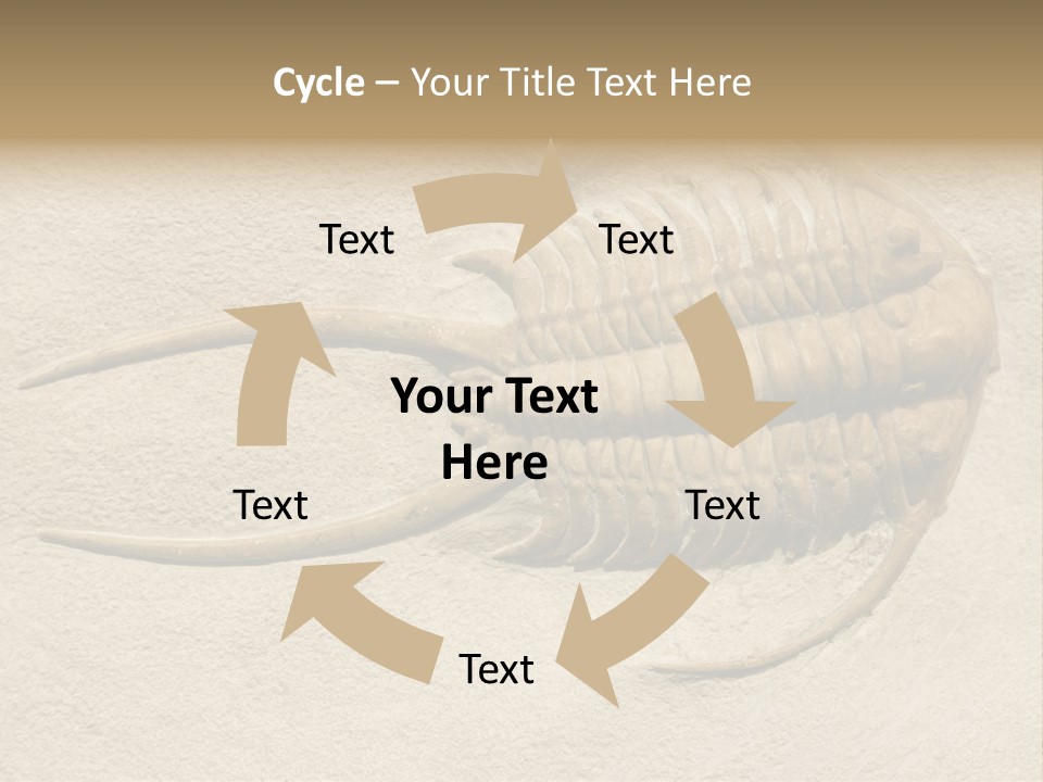 Geology Prehistoric Animal PowerPoint Template