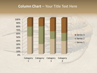 Geology Prehistoric Animal PowerPoint Template