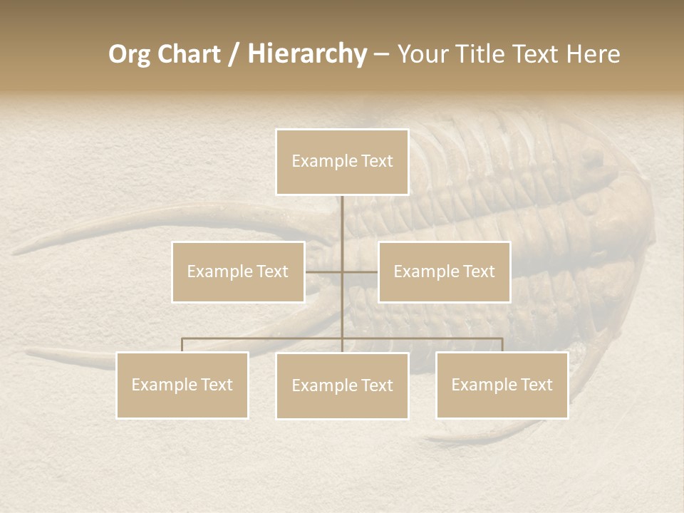 Geology Prehistoric Animal PowerPoint Template