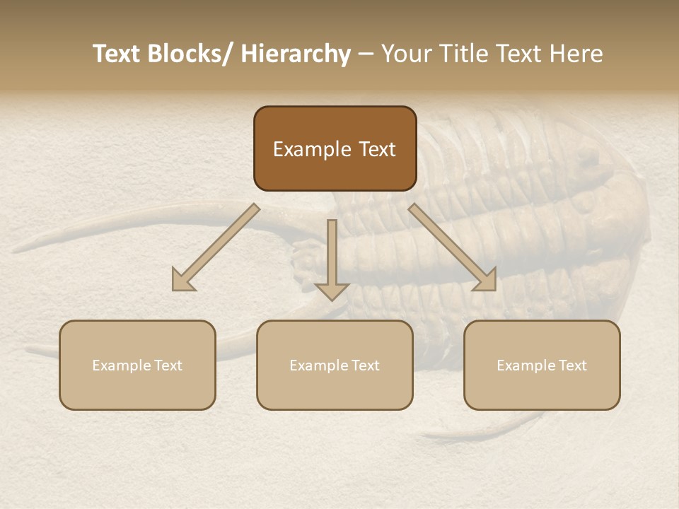 Geology Prehistoric Animal PowerPoint Template