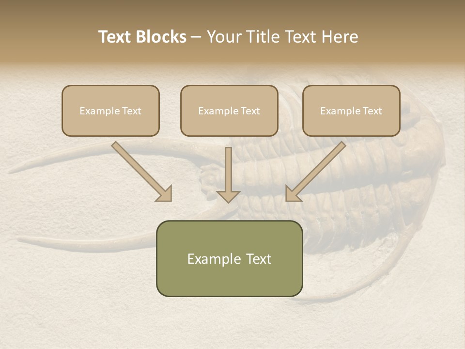 Geology Prehistoric Animal PowerPoint Template