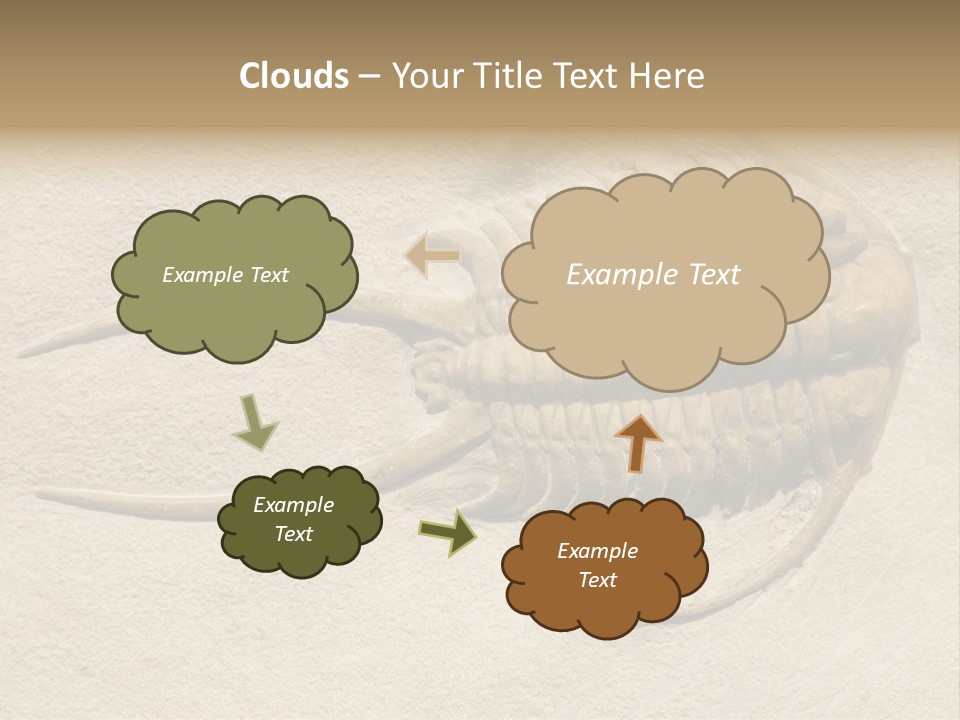 Geology Prehistoric Animal PowerPoint Template