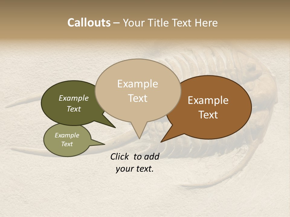 Geology Prehistoric Animal PowerPoint Template