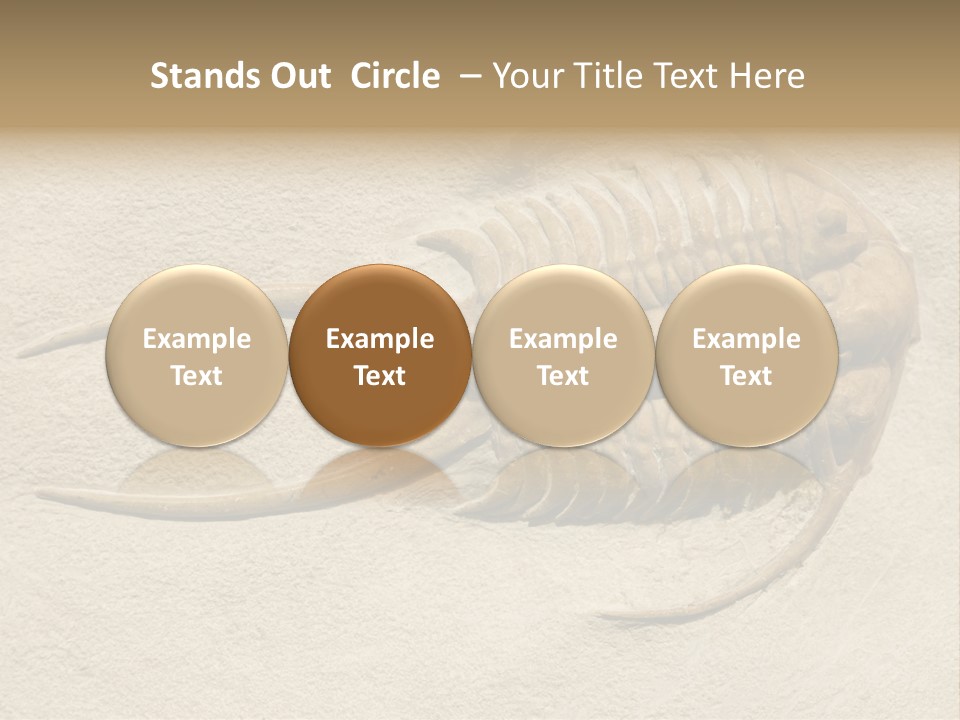 Geology Prehistoric Animal PowerPoint Template