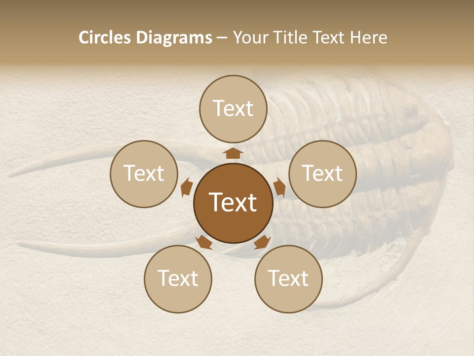 Geology Prehistoric Animal PowerPoint Template