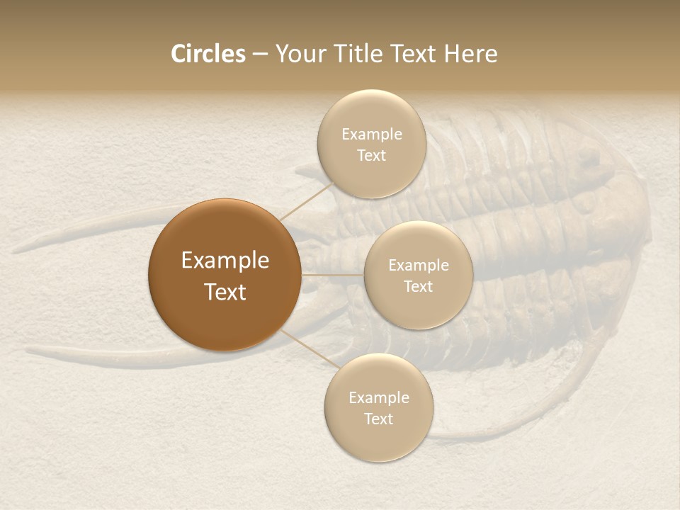 Geology Prehistoric Animal PowerPoint Template
