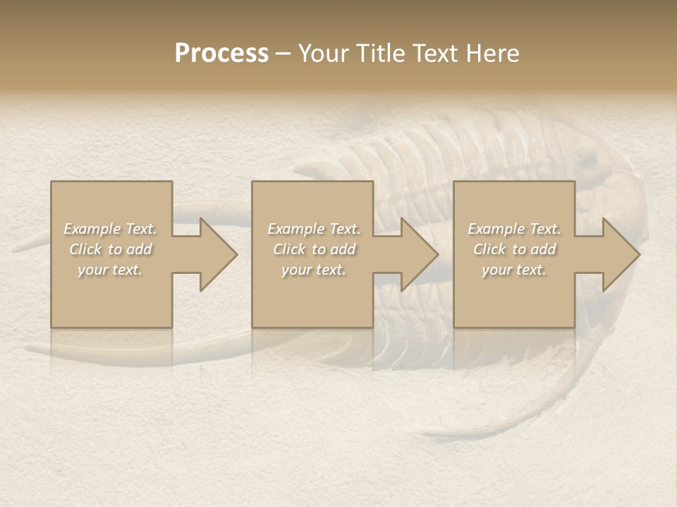 Geology Prehistoric Animal PowerPoint Template