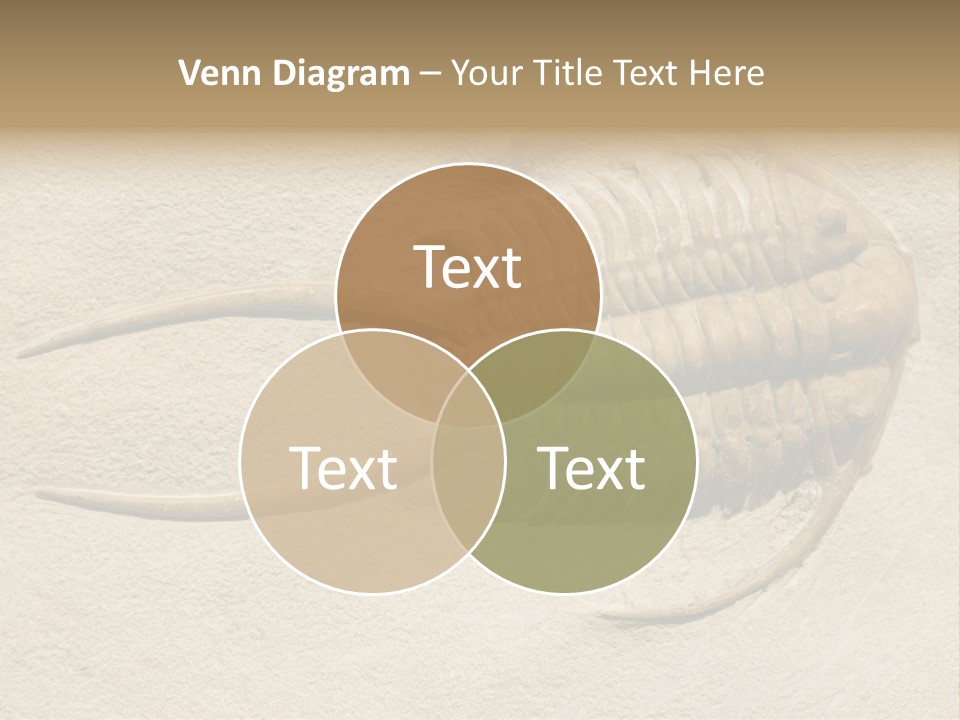 Geology Prehistoric Animal PowerPoint Template